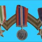 My Fathers Stripes and Medals