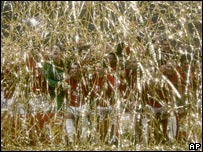 Manchester United players