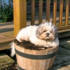 Funny the things that grow in my garden