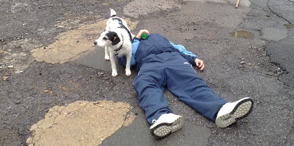 Joe Tracini and a dog