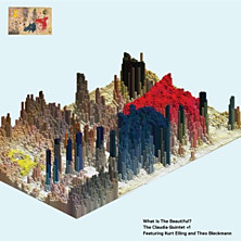 Review of What Is the Beautiful?