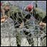 Israeli soldiers at Israel-Lebanon border