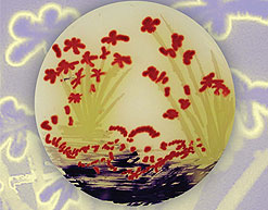 Bacterial Cell-Cell Signalling