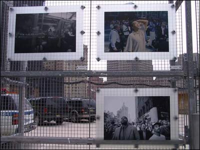 کامران نجفی