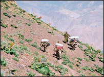 شاړې او ماينونه