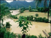 Rừng núi ở Lào