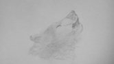 Wolf Wolf