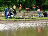 One of the new ponds at Hogganfield Park