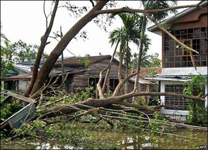 Devrilen bir ağaç ve bir ev