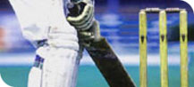 Cricket