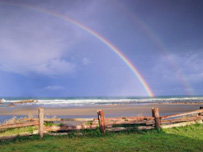 Rainbow (Getty Images)