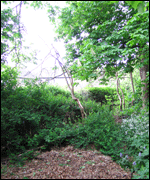 The crash site as it is today