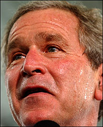 जॉर्ज बुश