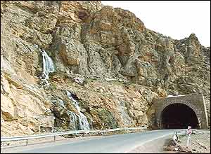 شهزاد تهرانی