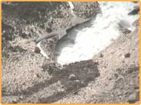 سیف الملوک جھیل کے راستے گلیشیئر