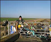 The infamous gate of toot