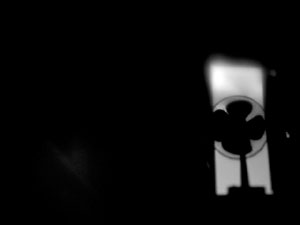 عکس از مصطفی معراجی