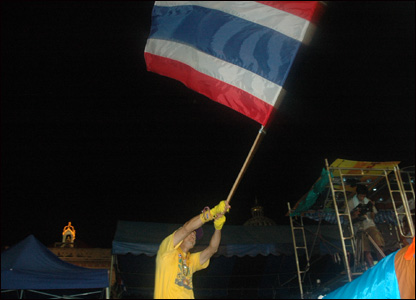 Một người biểu tình vẫy cờ