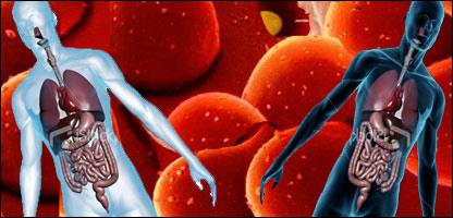 دانسان په رګونوکې دوينې دوارن 