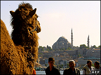 Camelo às margens do Bósforo