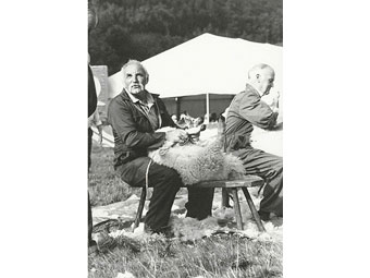 Cneifio yn Sioe Sir Dolgellau