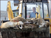 دطبث ناروغي