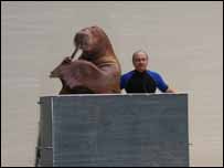 Morsa 'toca' saxofone (Foto: Divulgação)