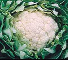 Cauliflower