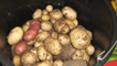 Potatoes