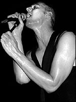 Gear (pic: Shirlaine Forrest)