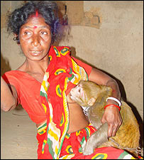 बंदर की माँ