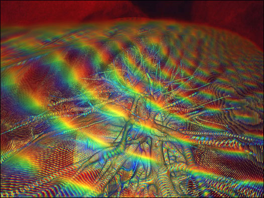 Tomografia (Foto: Cortesia Dr. Kai-hung Fung)