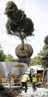 trees craned in (Photo: Jon Enoch)