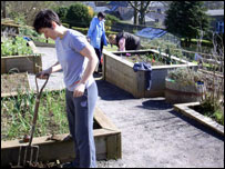 Working hard in Campbeltown Community Organic Garden