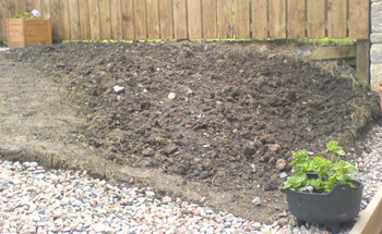 The big flower bed all prepped for planting...