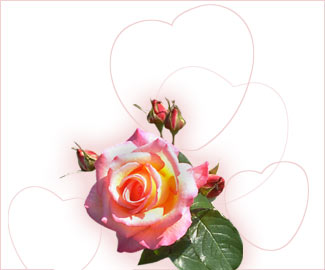 वैलेंटाइन्स डे