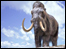 Mammoth