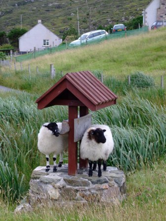 are ewe feeling well ?, Harris
