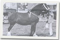 Lady Diana yn Sioe Frenhinol Llanelwedd