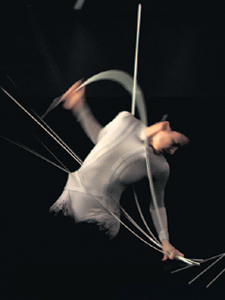 Endangered Species, 2006 (still)