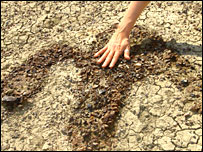 Jacey touches the footprint