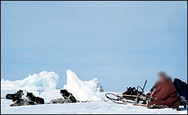 Morris gets the cold shoulder!