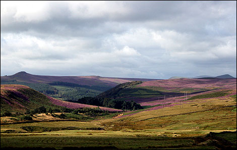 Winn Hill and Kinder Scout