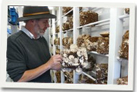 Cynan Jones (Llun Huw Jenkins)