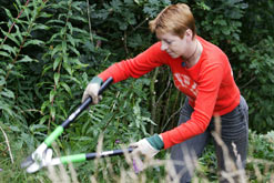 Cutting back vegetation at a BTCV Green Gym in Stockport
