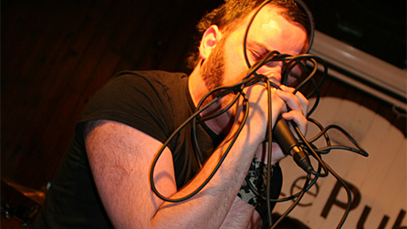 Die! Chihuahua Die! Photo: Nadine Ballantyne