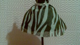 My mini zebra...