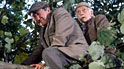Compo and Clegg in Last of the Summer Wine