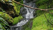 Mossy seat falls