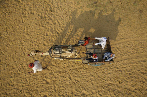 Puşkar hayvan pazarı